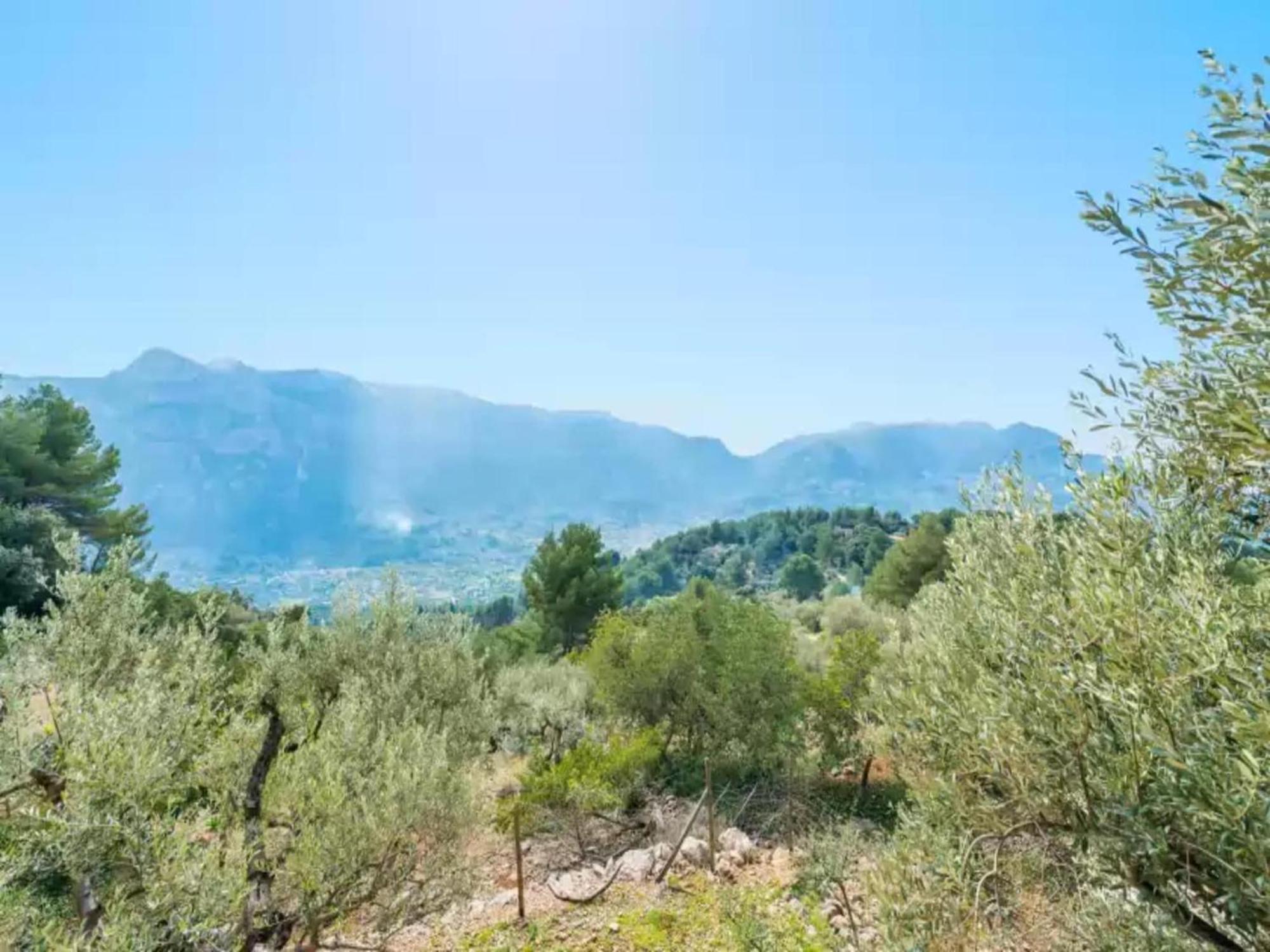 Chalet S'olivaret -